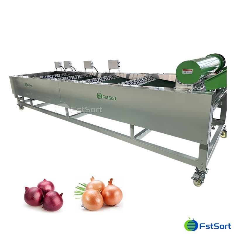 images/1764298274609onion sorting 2.jpg